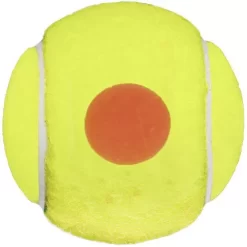 Wilson Starter Orange Tennis Ball Bag Of 48 Balls -Next stop, Sports. 020255 3